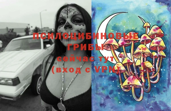 сатива Алексин