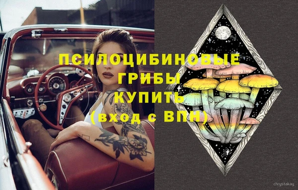 сатива Алексин