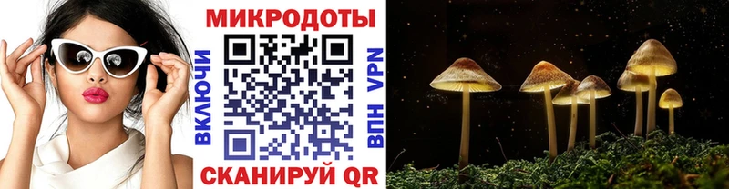 где купить наркоту  blacksprut ССЫЛКА  Псилоцибиновые грибы Psilocybe  Томари 
